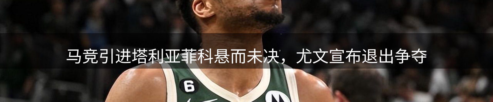 公司视点